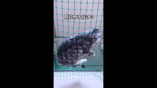 階段吹き抜けに