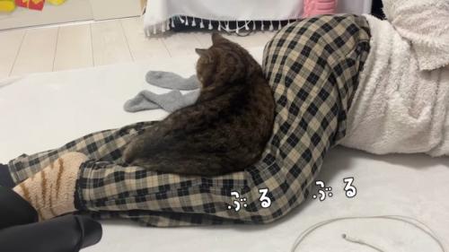 ぶるぶる