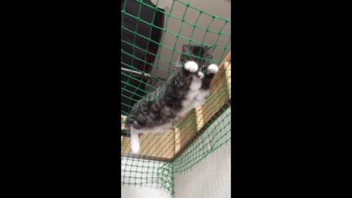 うつ伏せ