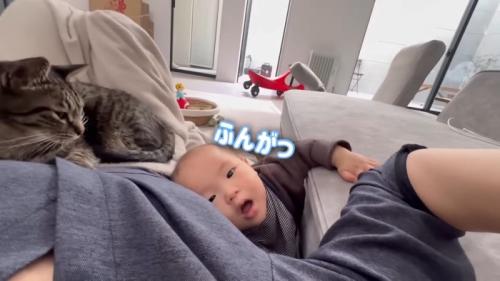 ふんが