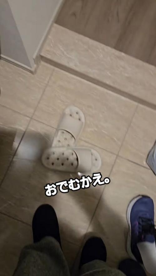 飼い主の足の間を通り過ぎていく子猫