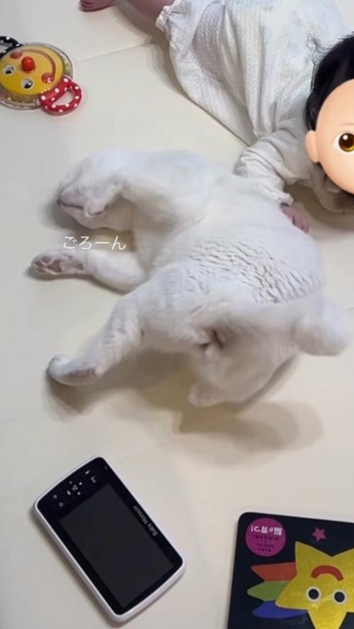 赤ちゃんのそばに寝転がる猫
