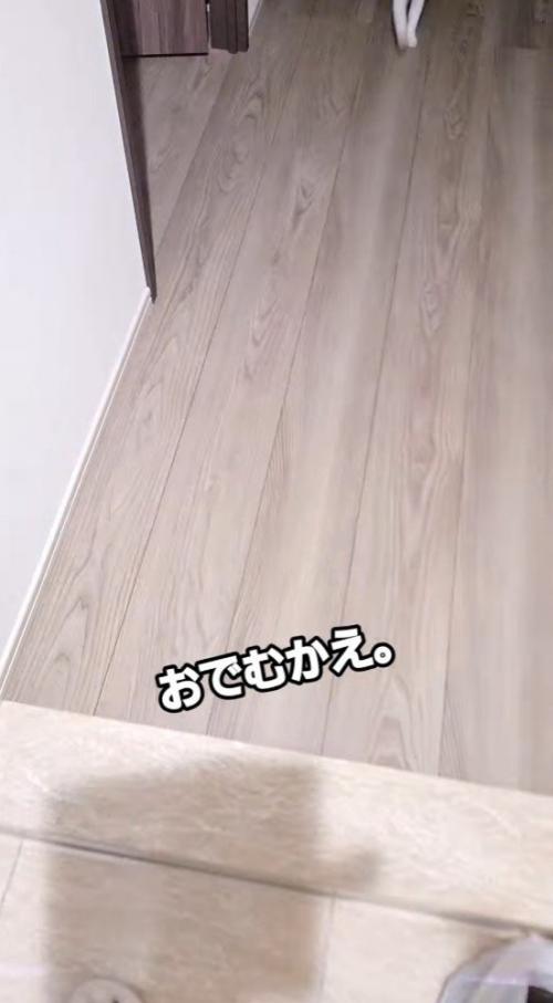 物音がする廊下
