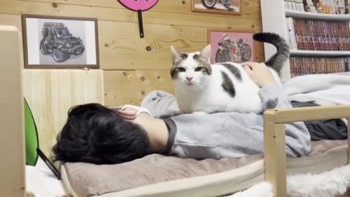 体の上に