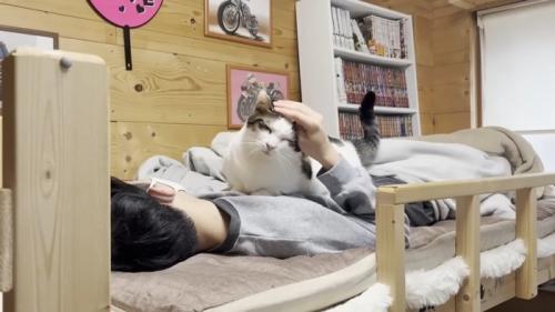 撫でられ中