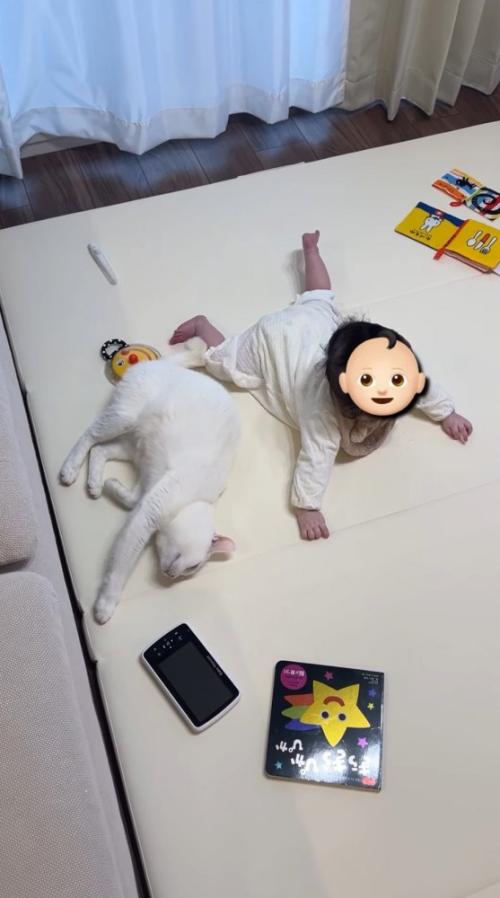 赤ちゃんの隣で横になる猫
