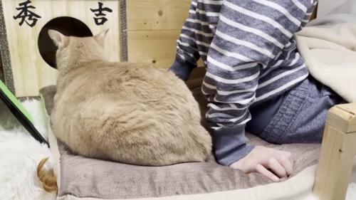ひのきちゃんの後ろ姿