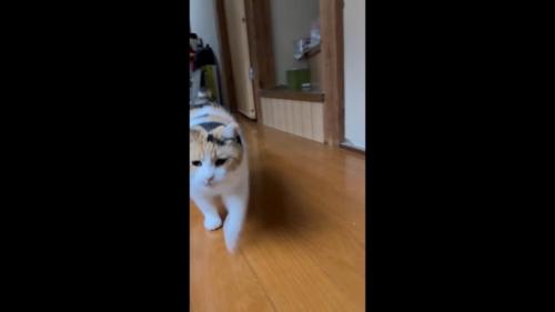 かなり接近