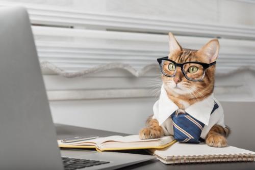 科学実験をする猫たちのイラスト