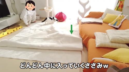 カーペットに潜るささみくん