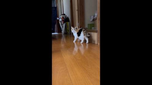 振り返って