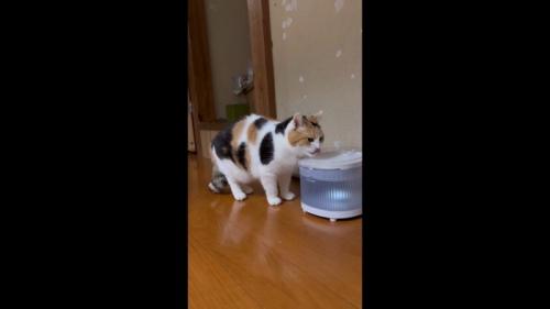 口元を舐めて
