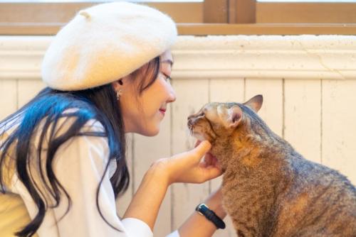 飼い主と猫