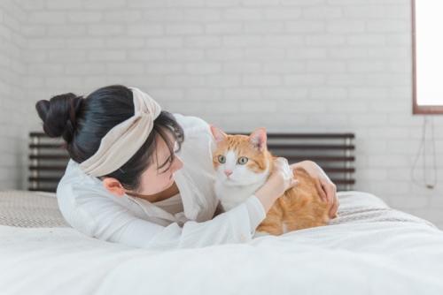 猫に話しかける飼い主