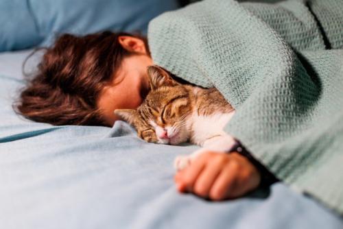 猫と一緒に寝る人
