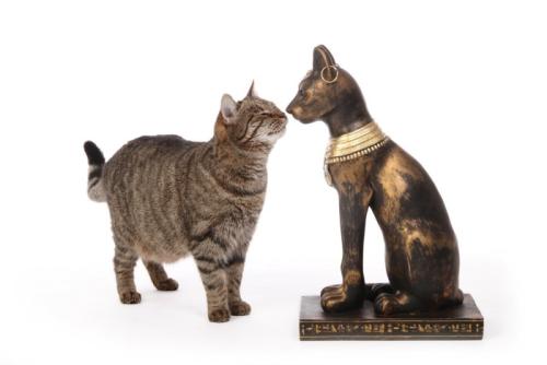 バステト像と猫
