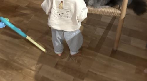 猫に近づく赤ちゃん