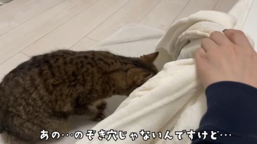 のぞくみにらくん