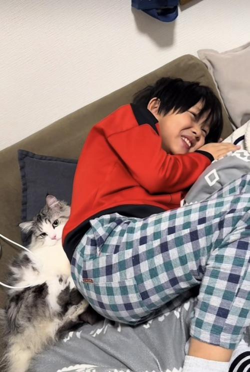 ソファに寝転がるお兄ちゃんとマンチカン