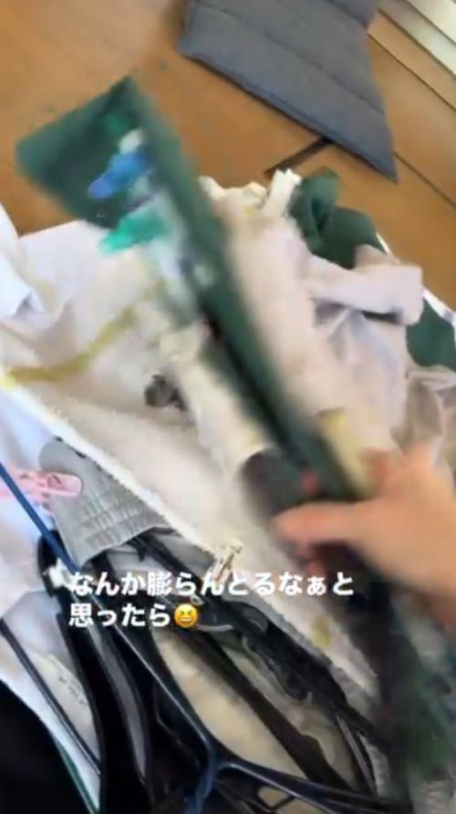 積み重なっている洗濯物をめくる飼い主