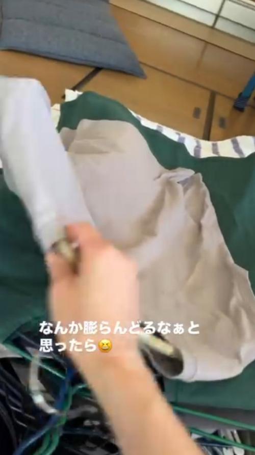 洗濯物を1枚ずつめくる飼い主