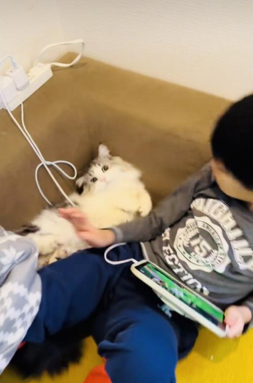 マンチカンの首から腕をのけるお兄ちゃん