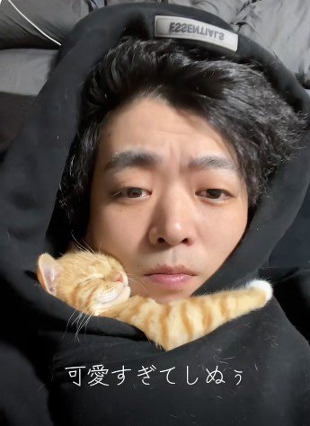 人に抱き着いて寝ている子猫