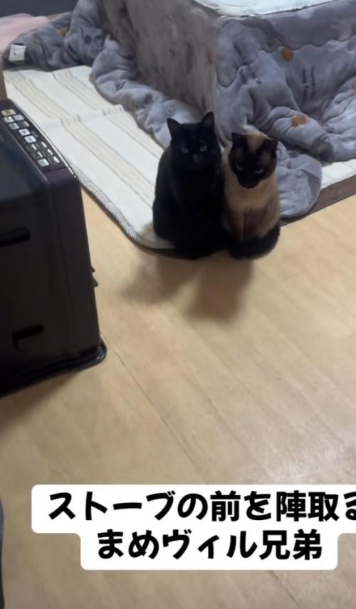 「ストーブの前を陣取る...」のテロップ写真