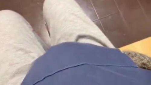 ポケットに入る猫