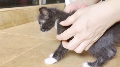 手の中に