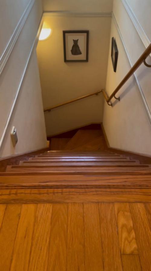 階段下に向かって「おいで」と言う飼い主