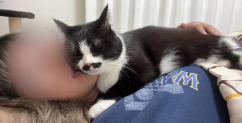 横になる飼い主さんにすりすりするくろまめさん