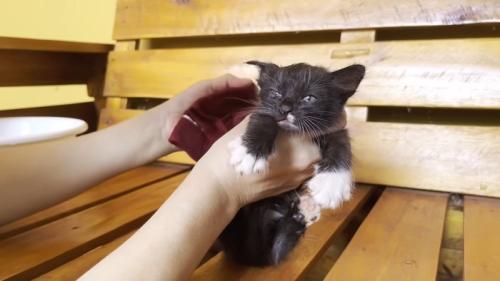 タオルで