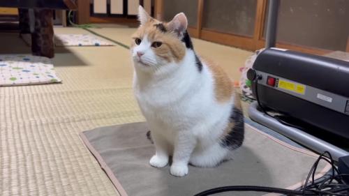 ホカペの上