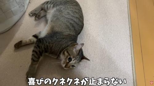 テロップ「喜びのクネクネが～」