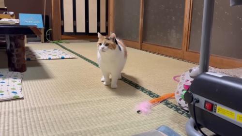 立ち止まって