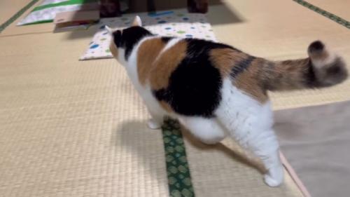 後ろ姿