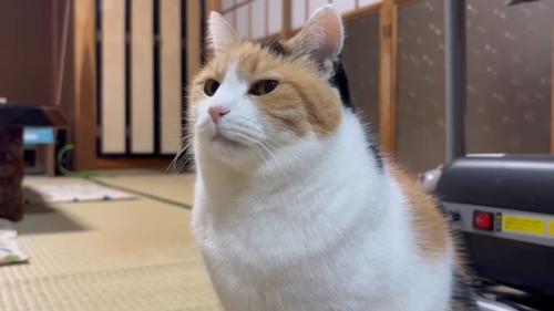 顔のアップ