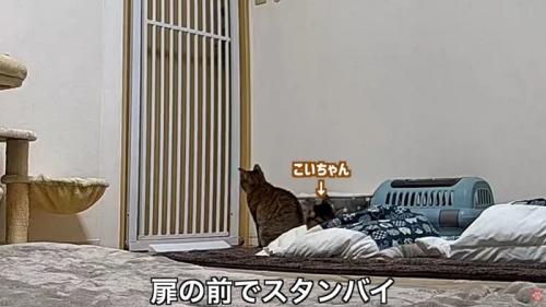 テロップ「扉の前で～」