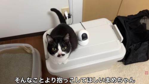 テロップ「そんなことより～」