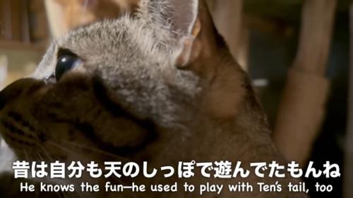 空くんアップ