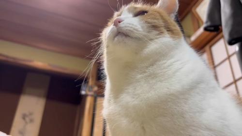 下からのアングル