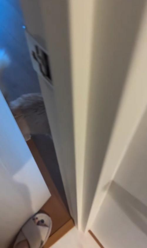 ドアを開ける