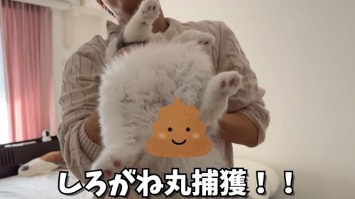 捕獲！！