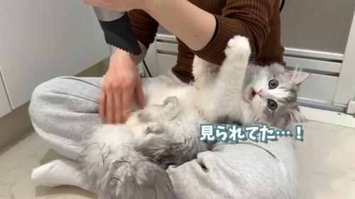見られてた…！