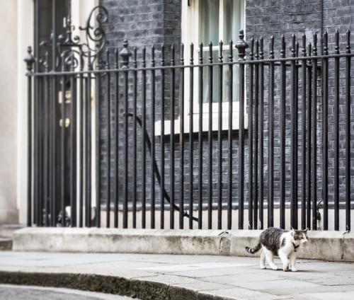 首相官邸の前を歩くLarry