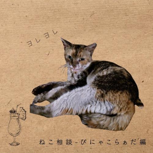 横になる猫