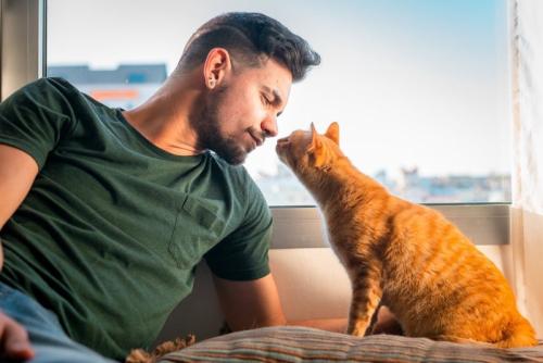 飼い主に鼻を衝かづける猫