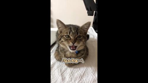 なんやぁ…
