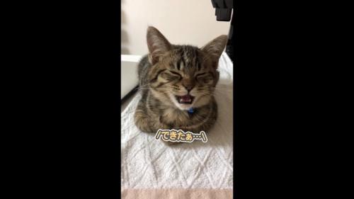 できたぁ